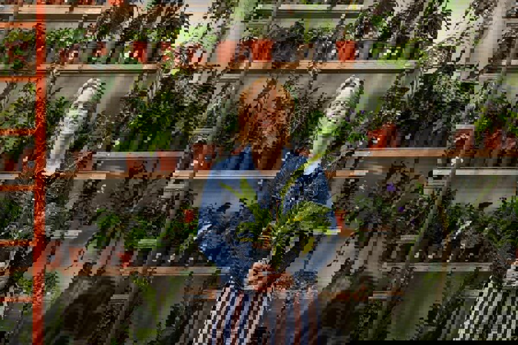 Woman In Demin Holding Plants