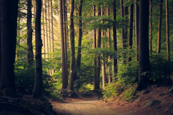 ESG investing