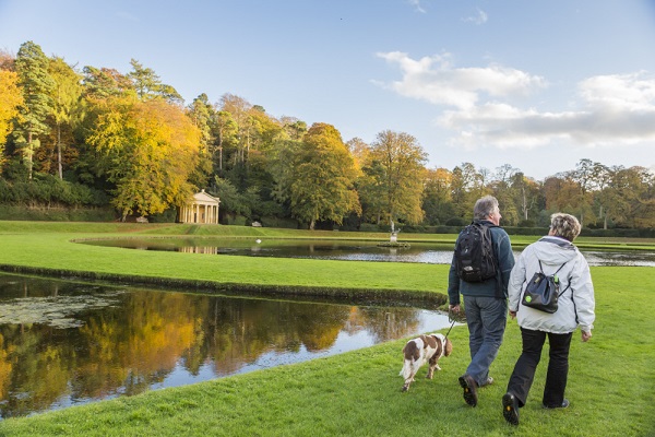 Couple Walking Dog Near Lake