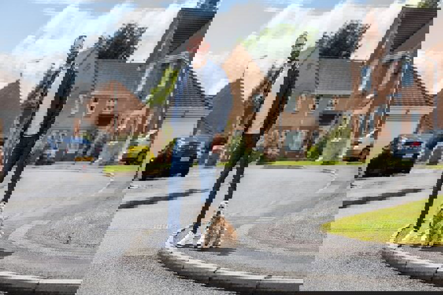 Man And Dog On Street House