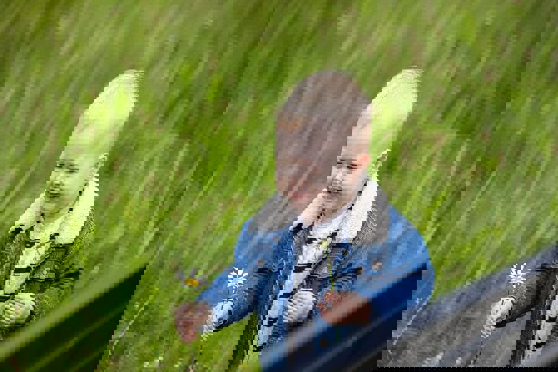 Baby Walking Holding Daisy